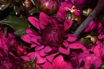 Lovely bunches of flowers like these! I would love to have bought some, but they wouldn't really fit in at my hostel!
