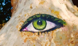 Loved this eye an artist painted on a tree.