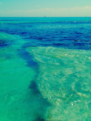 This is the amazing reef at the Basin where we went snorkelling.