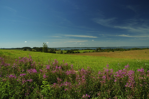 1083343690_9b87dff5a0