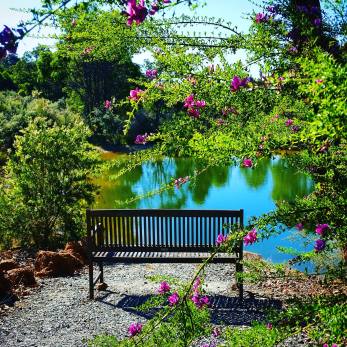 On my afternoon stroll around the grounds, I came across this ideal peaceful scene. I hope it also brings you serenity! 