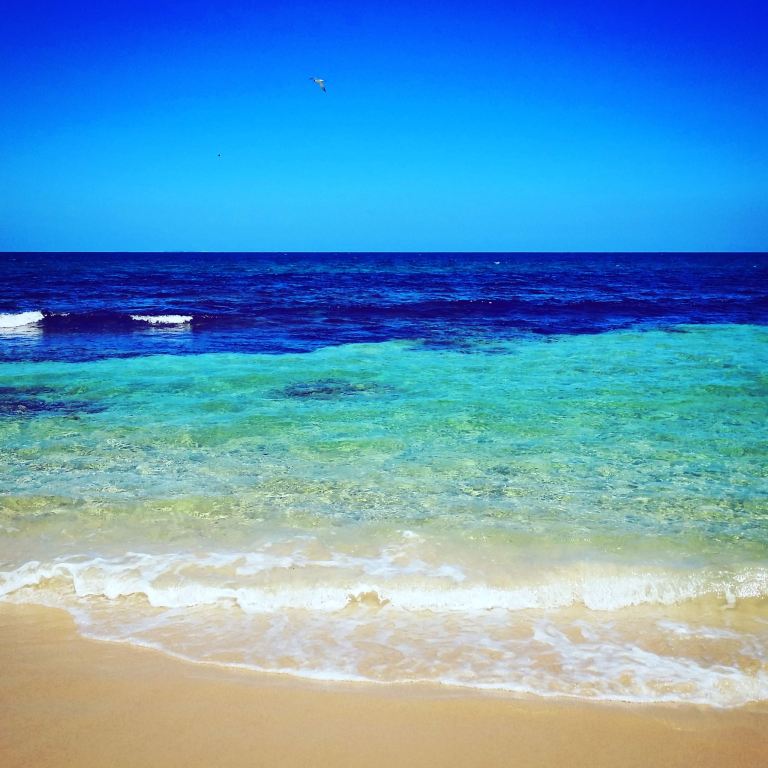 12375431_10153671293035155_1298884941_o