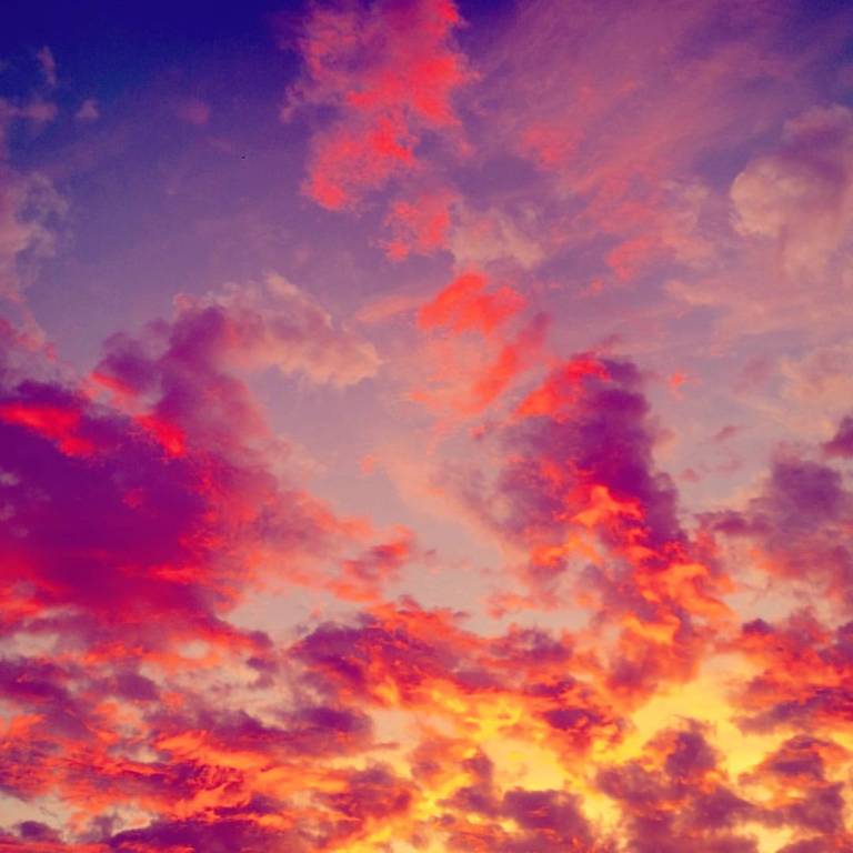 12473975_10153718583480155_6733119690210345596_o