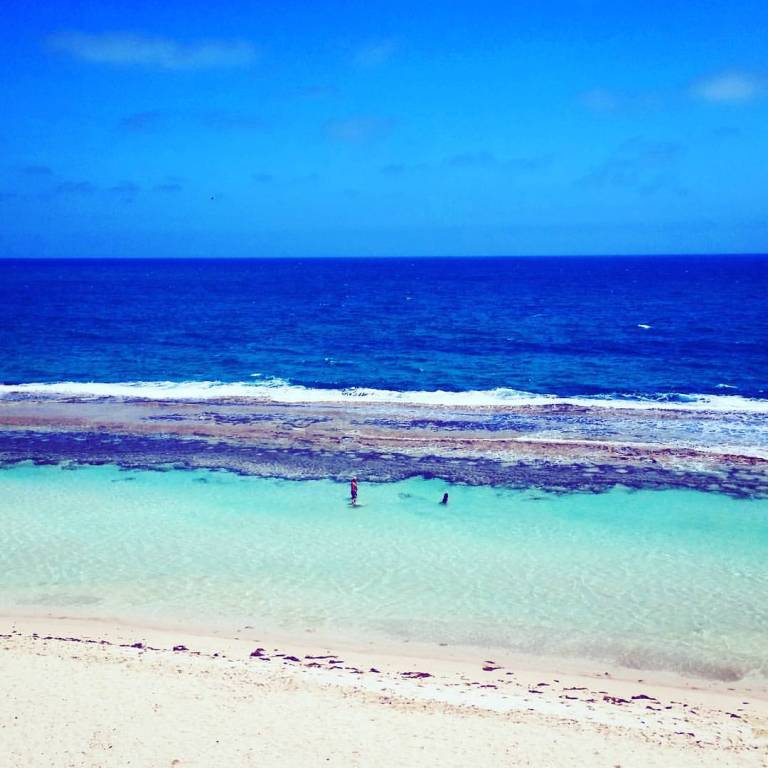 12491966_10153720045520155_8163334962772764496_o