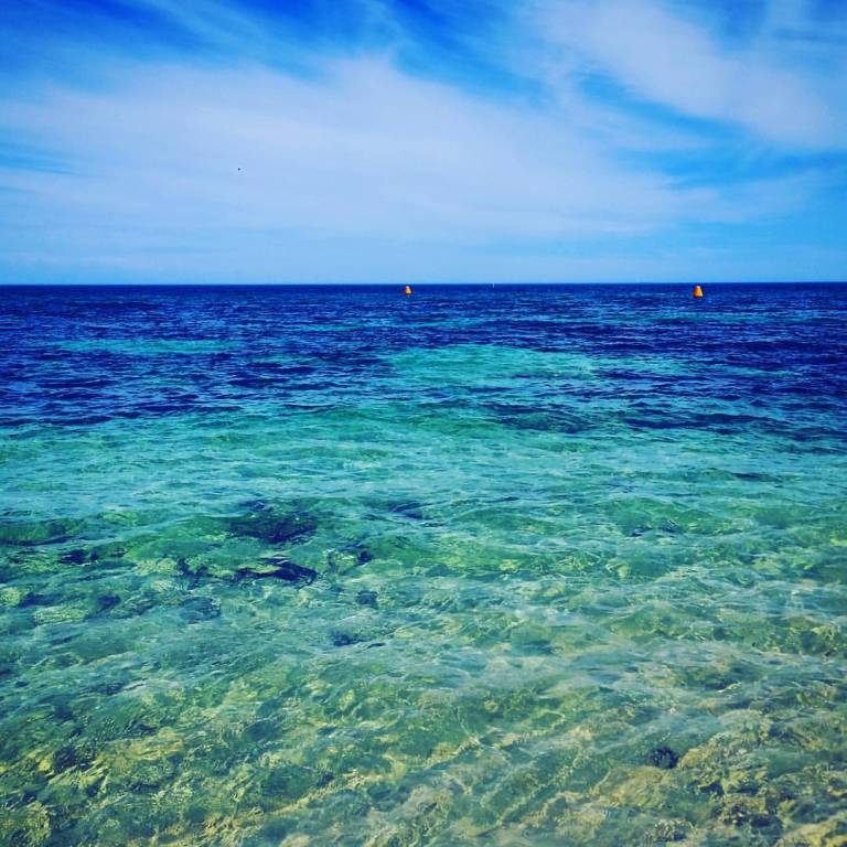 12525218_10153740853335155_6494236310096907697_o