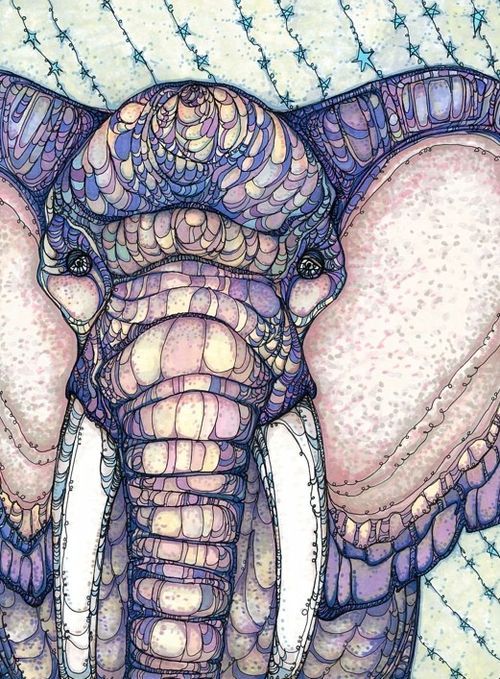 6e1bfb7edfcac7af542cdfbf7a0b274e