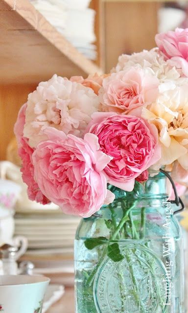 7dd0a0d373ffe0889d7003b09efe47b6