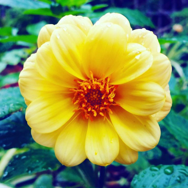 12915280_10153913667560155_356149899_o