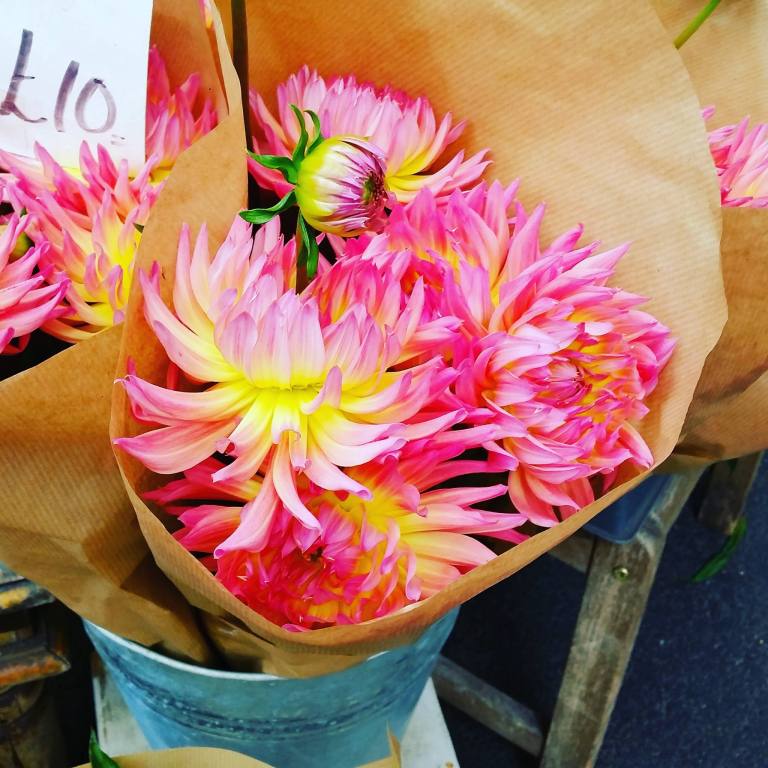 13405369_10154090745705155_661164216_o