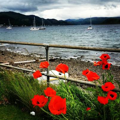 13446310_10154102096340155_29923291_o