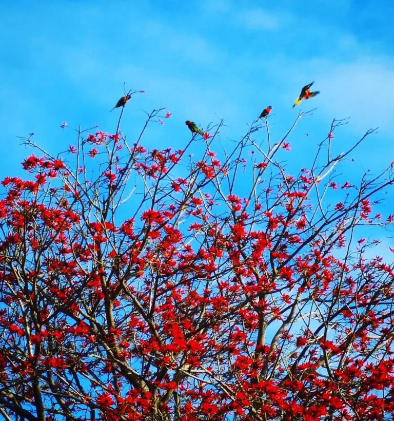 13940180_10154260235825155_1034542116_o