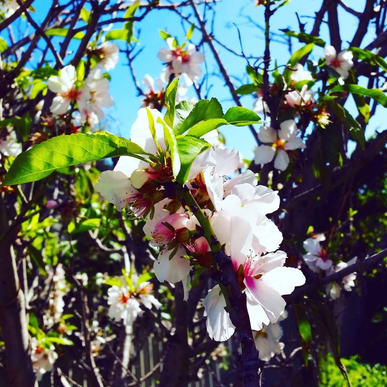 14012701_10154260235055155_1883953455_o