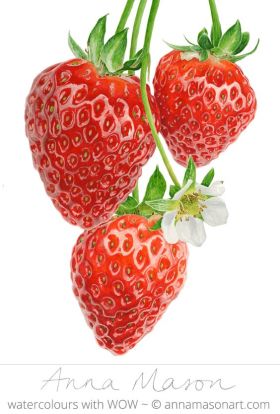 688aaab367df476a1bff620687a216e1