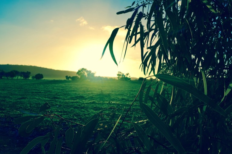 thumb_DSC_0018_1024
