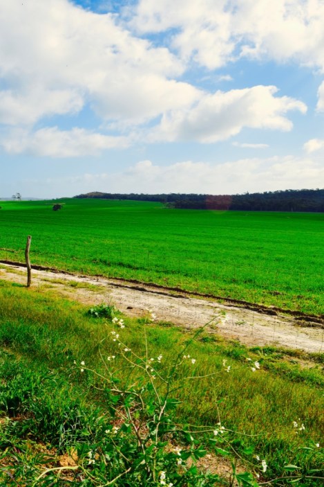 thumb_DSC_0025_1024