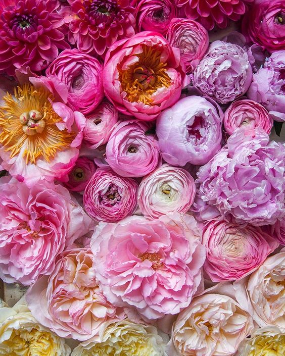 bdbd7a906d0498e4e573841556da2cc0