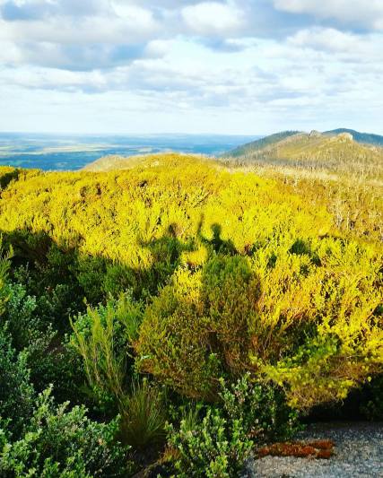 14572549_10154417608125155_1732582637_o