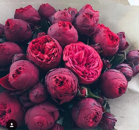 98eac20fdb9aa4020bc9f170d58657cc