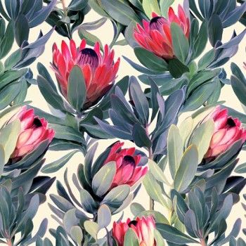 db0b4610f41eb36b02d624e42b010c47