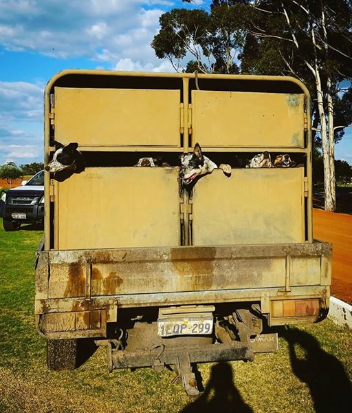 21463376_10155504172505155_1759497488264287456_n