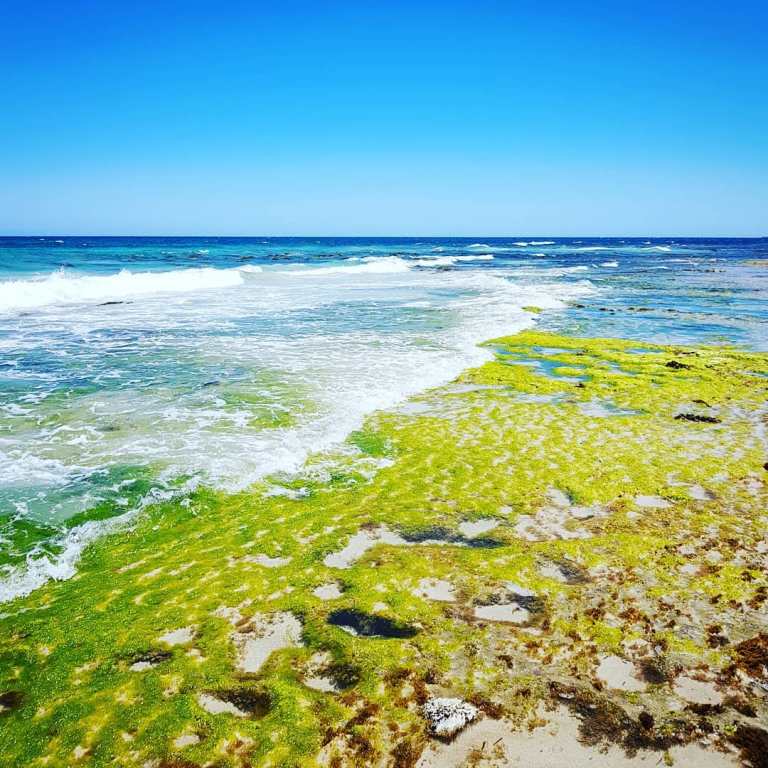 47226923_10156624170980155_9176237987711680512_o