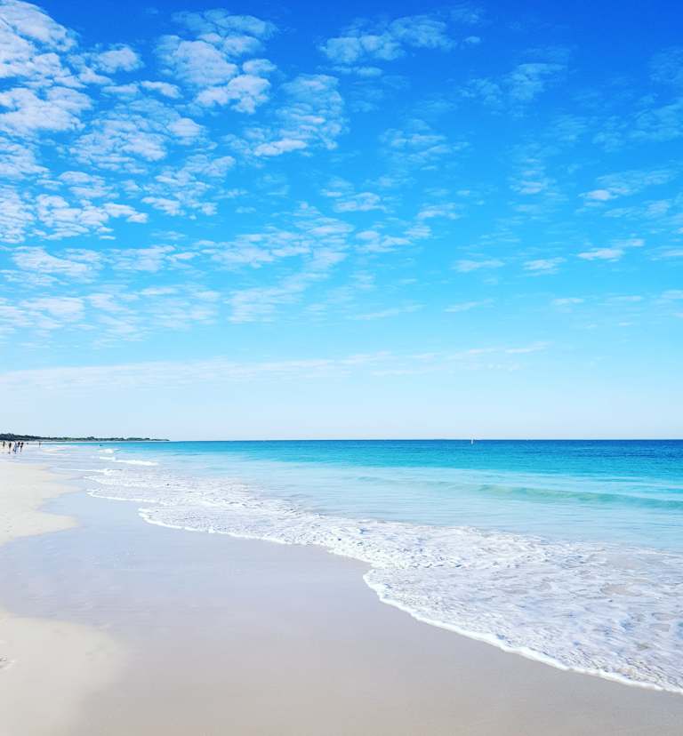 51107137_374292083382110_7291251775791693824_n