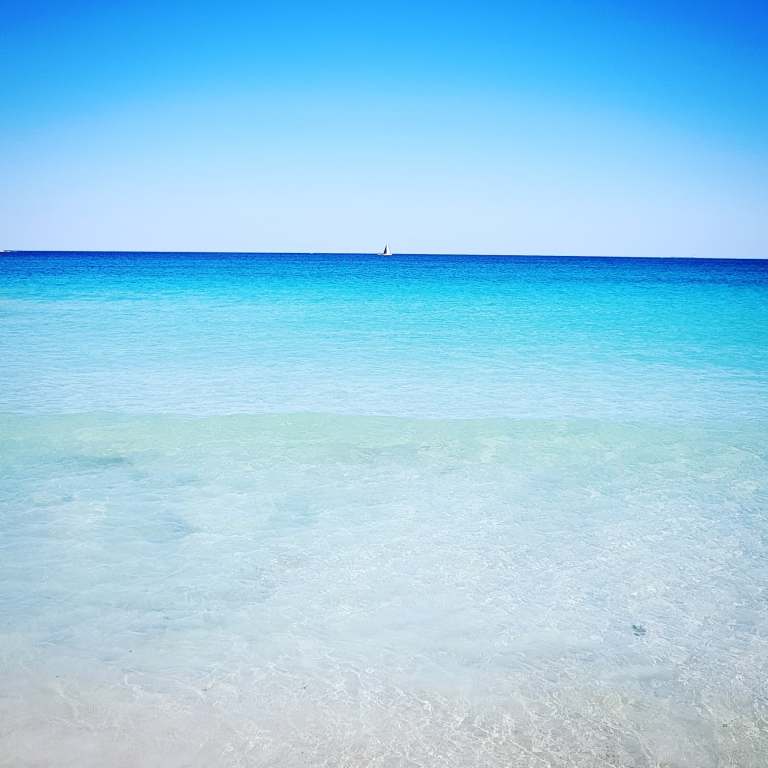 51791410_940519803005040_5625262939817639936_n